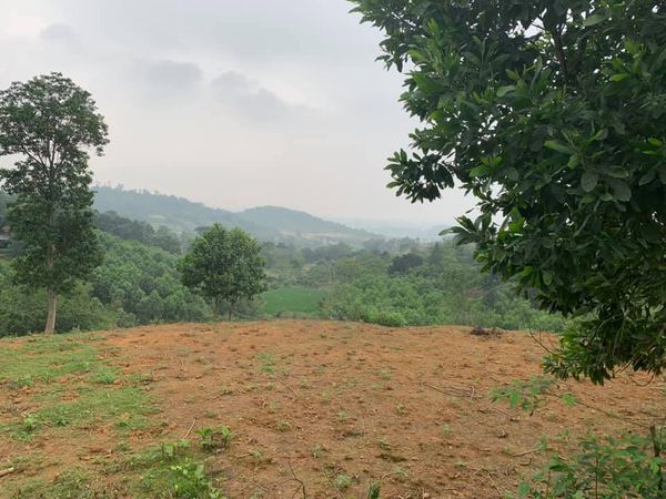 Bán đất Ba Vì 3000m2 2.5 tỷ