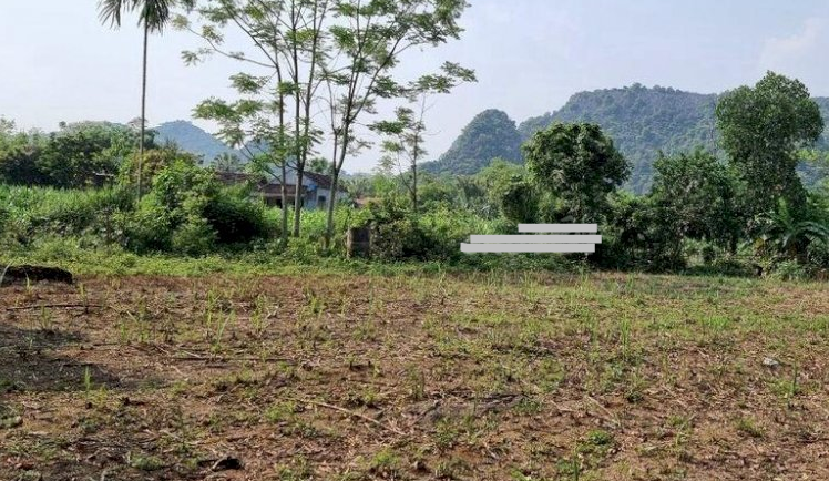 Bán đất Đa Phúc TC 1258m2 1.35 tỷ