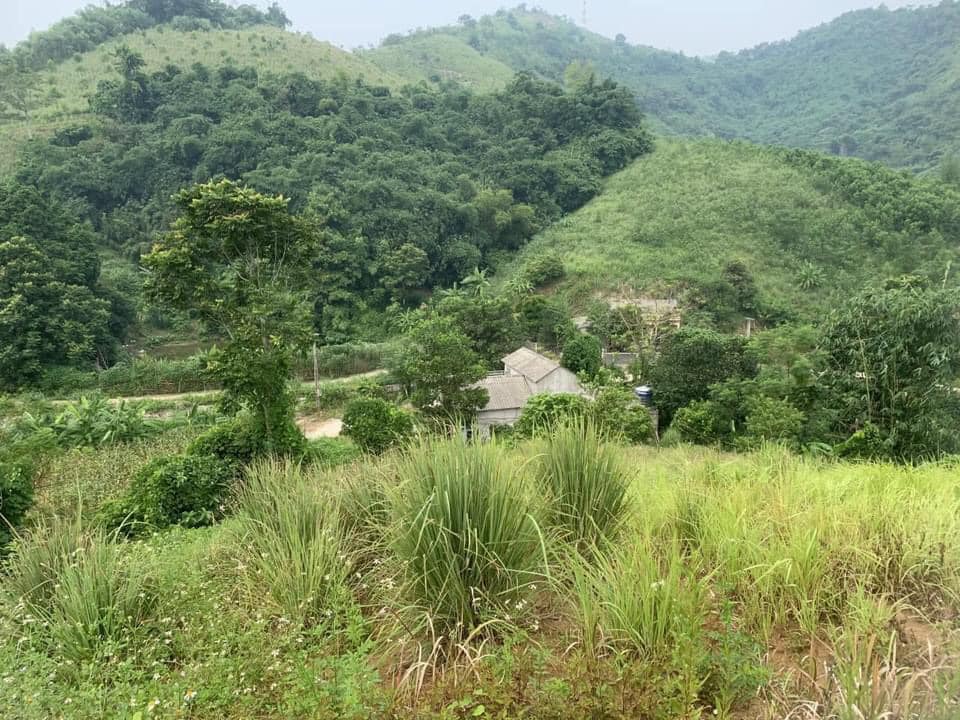 Bán đất Hòa Bình 8ha 4 tỷ