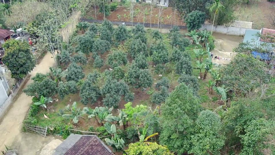 Bán đất Yên Thủy 1172.5m2 3.1 tỷ
