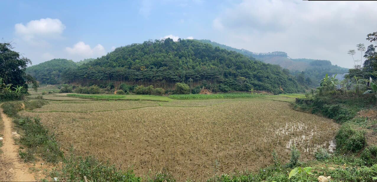 Bán đất Thanh Sơn 14ha 5.8 tỷ
