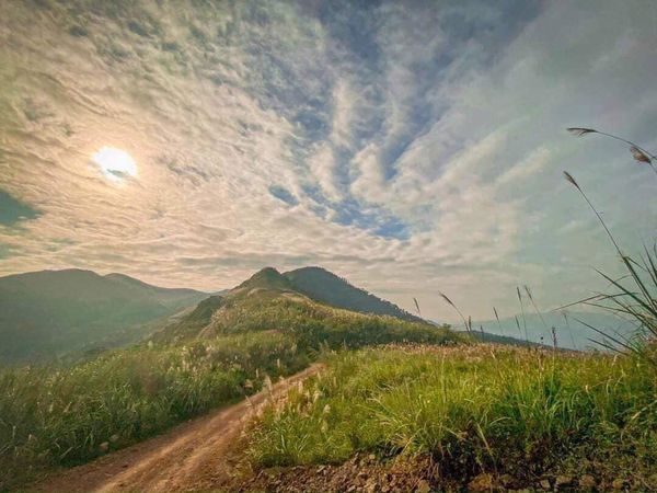 Bán đất Chương Mỹ 1137m2 2.9 tỷ