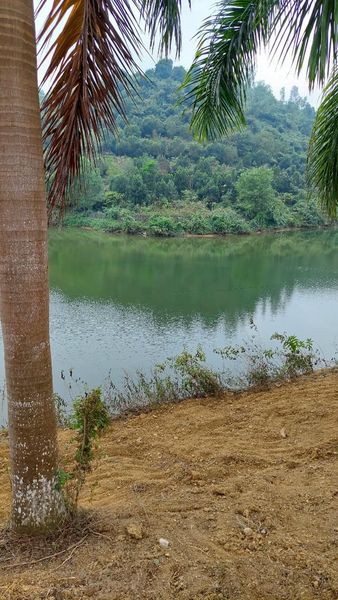 Bán đất Lương Sơn 2660m2 8 tỷ