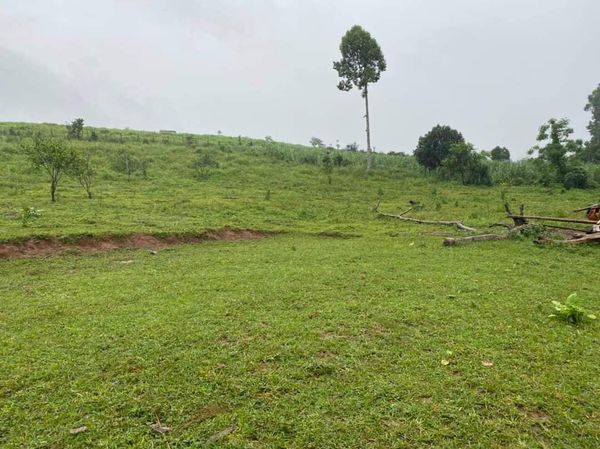 Bán đất Cao Phong 3774m2 2.3 tỷ
