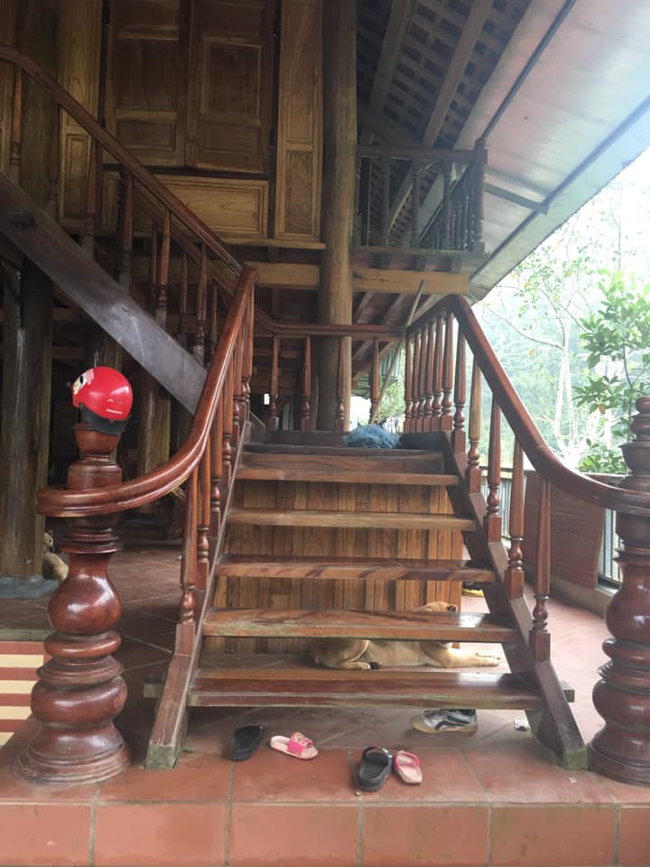 Bán đất Đại Từ 12ha 9.6 tỷ