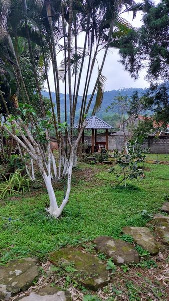 Bán đất Ba Vì 1310m2 4.3 tỷ