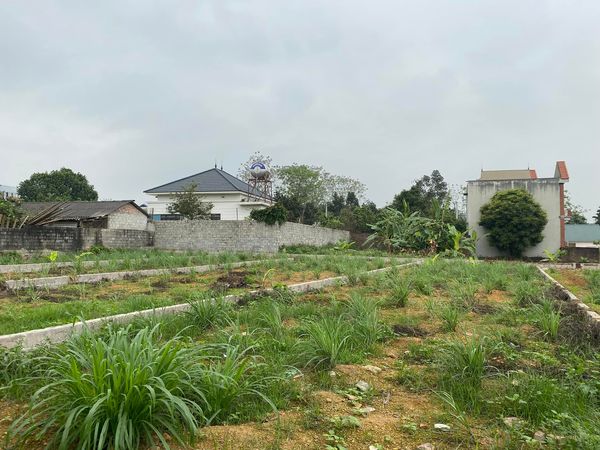 Bán đất Quốc Oai 1000m2 5.9 tỷ