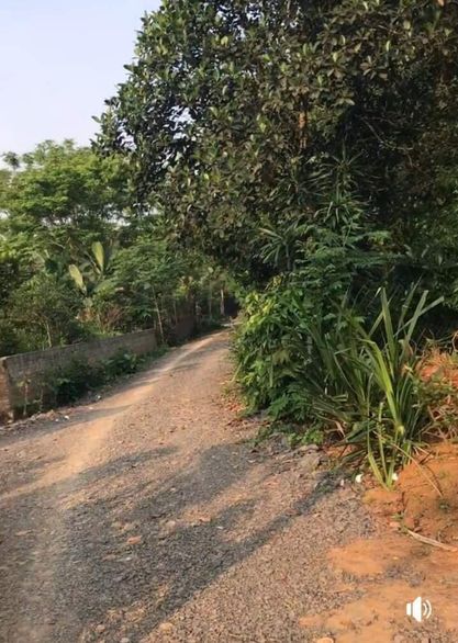 Bán đất Phú Lai TC 1611.9m2 1.6 tỷ