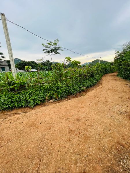 Bán đất Đa Phúc TC 1300m2 1.5 tỷ