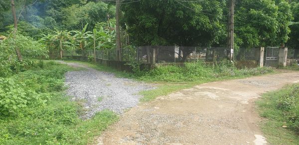 Bán đất Lạc Lương TC 1850m2 1.5 tỷ