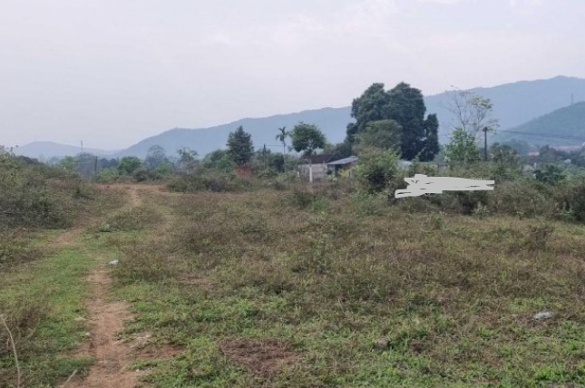 Bán đất Lương Sơn TC 9000m2 11.6 tỷ