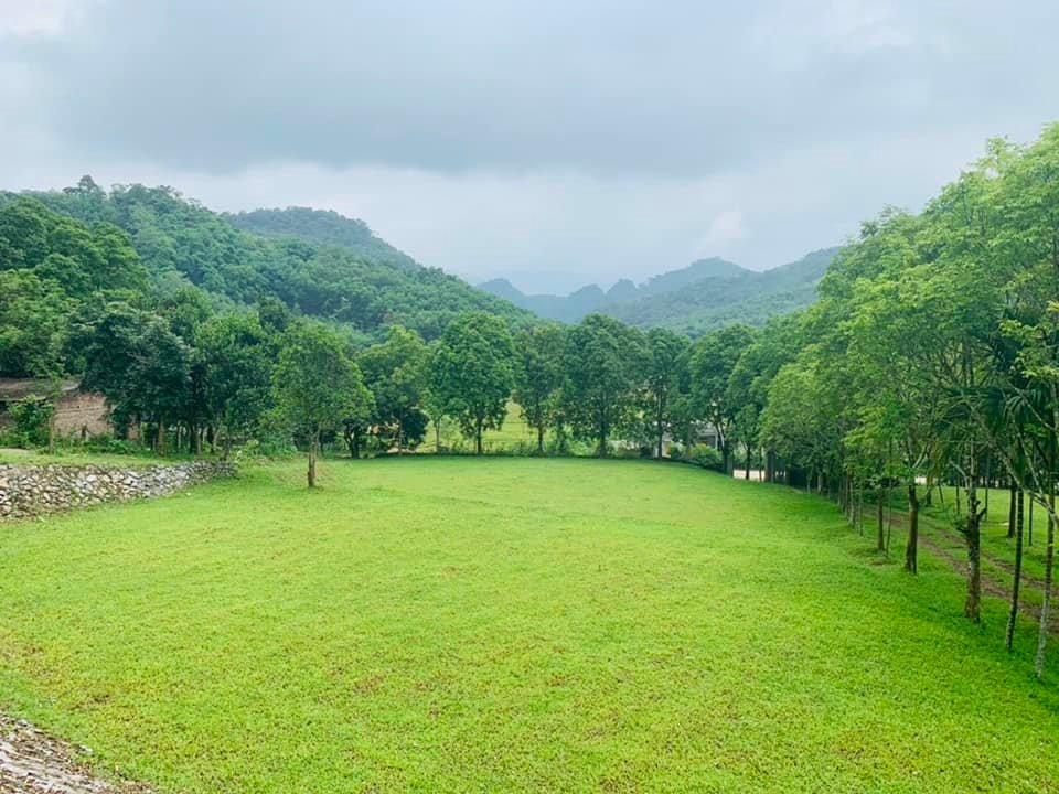Bán đất Lương Sơn 1.9ha 21 tỷ