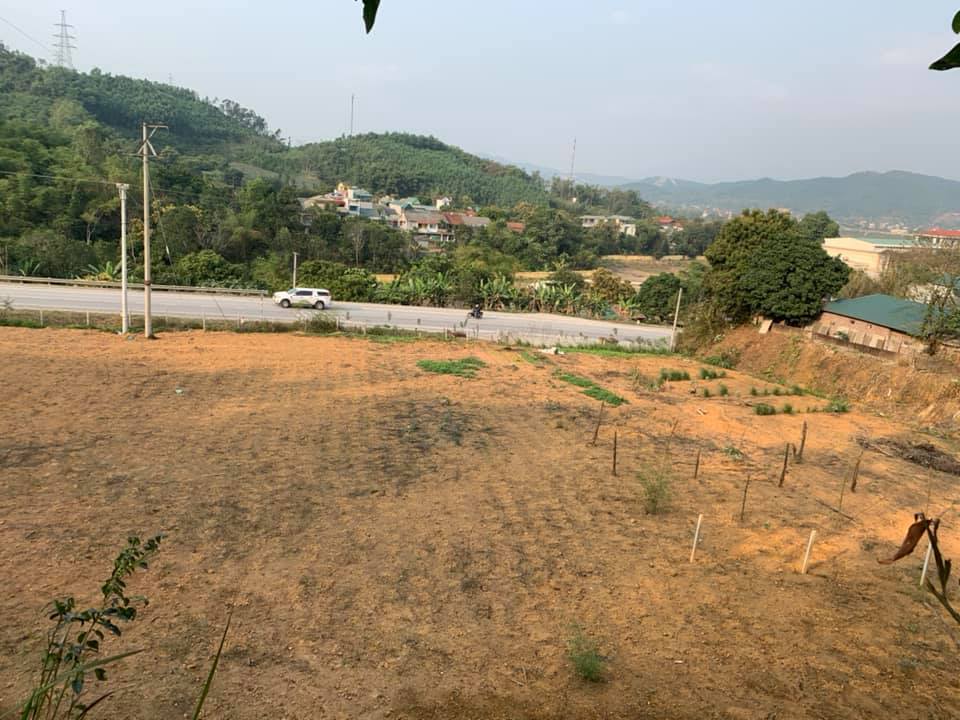 Bán đất Hòa Bình 7000m2 7 tỷ