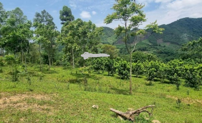 Bán đất Đà Bắc TC 4000m2 6.8 tỷ