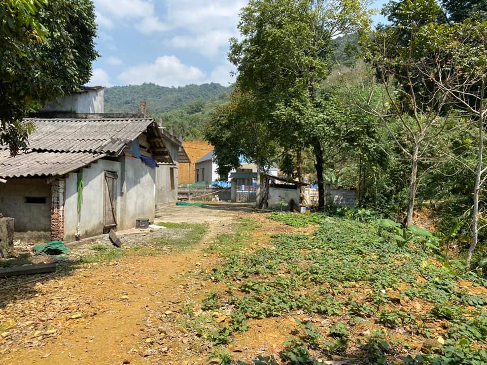 Bán đất Đà Bắc 1050m2 3.1 tỷ