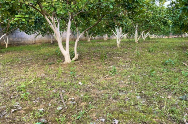 Bán đất Ngọc Lương TC 2500m2 1.66 tỷ