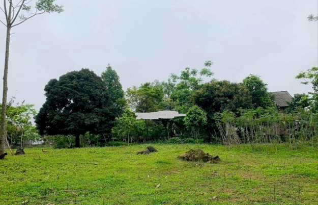 Bán đất Tân Sơn TC 7500m2 3.5 tỷ
