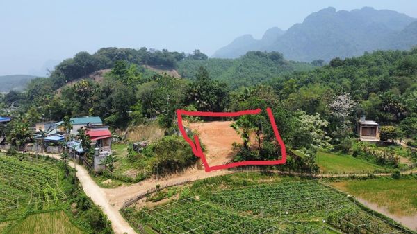 Bán đất Sào Báy TC 1105m2 1.8 tỷ
