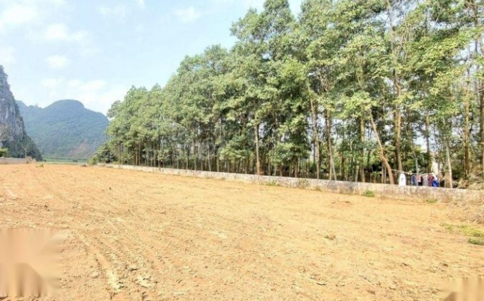 Bán đất Nam Thượng TC 1800m2 5.6 tỷ