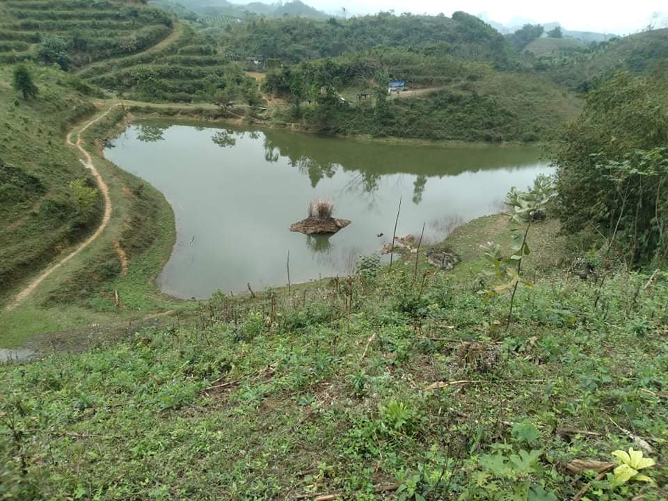 Bán đất Cao Phong 1.7ha 1.070 tỷ